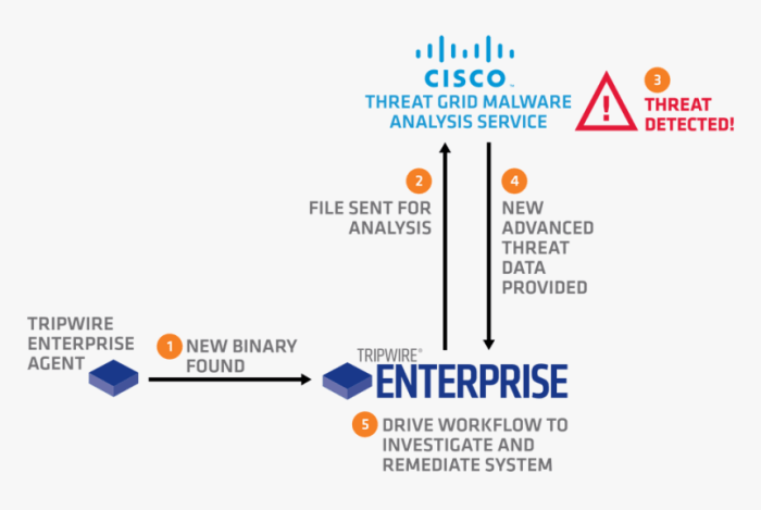 Which statement describes the cisco threat grid glovebox