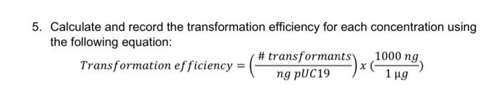 How to calculate transformation efficiency of competent cells