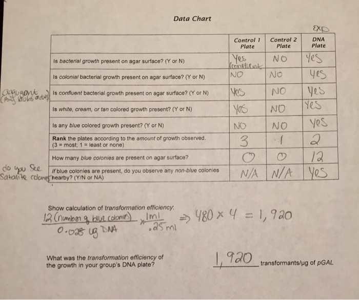 Efficiency calculating answered hasn cells