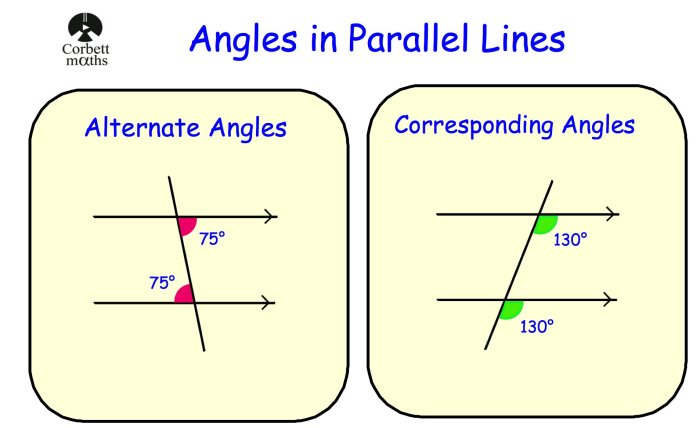 Which are vertical angles check all that apply