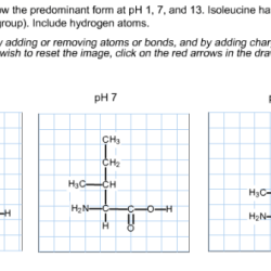 Modify isoleucine to show the predominant form