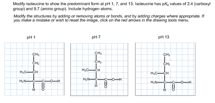 Modify isoleucine to show the predominant form